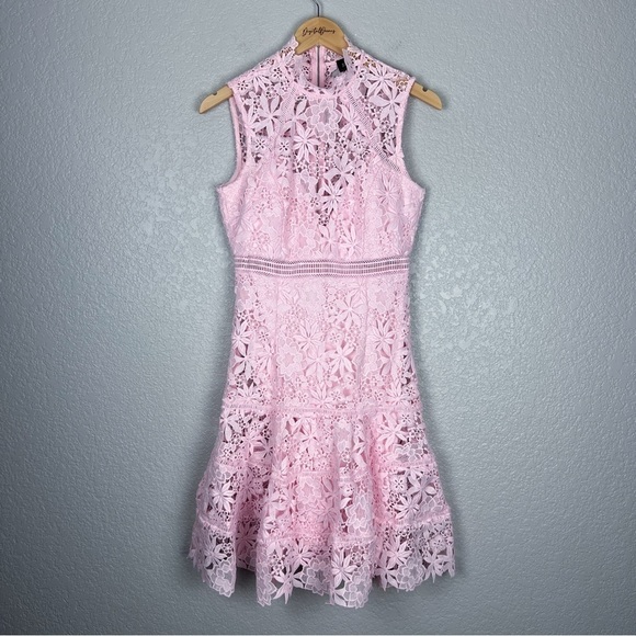 Bardot Elise Lace Dress, Washed Pink 6 - Sleeveless, Feminine, Sexy, EUC, Small - Picture 3 of 13
